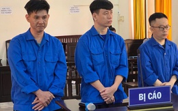 Cựu nhân viên ngân hàng lừa đảo 8 tỉ đồng tại Phú Quốc vì thua lỗ bất động sản