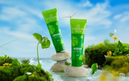 Yoosun Rau má: Từ thị trường nội địa đến sự quan tâm của đối tác quốc tế