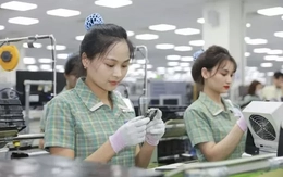 Sau lập kỷ lục, động lực nào cho xuất khẩu tăng trưởng?