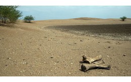 Cảnh báo mới về khủng hoảng nước