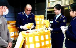 Kiểm tra một xe ô tô tải, phát hiện điều bất thường