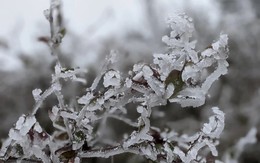 Tiết Đại hàn 2026 bao giờ kết thúc?