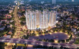 Nhu cầu ở ngày càng tăng cao, Tecco Elite thái nguyên tiếp tục hút khách