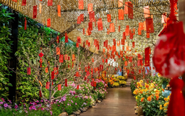 Đón Tết sớm tại một địa điểm ngập hoa ngay trong lòng Hà Nội, ngỡ như đang cùng gia đình ăn bữa cơm tất niên