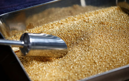 Giá vàng, bạc đua nhau lập kỷ lục