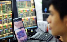 Vì sao phó Tổng giám đốc Công ty cổ phần Sông Đà 2 bị xử phạt?