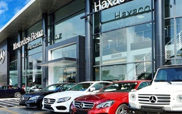 Haxaco báo lãi ròng quý IV/2025 ‘sụt giảm’ 36% so với cùng kỳ