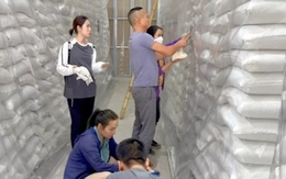 Số lượng lúa gạo nhập kho dự trữ cao chưa từng thấy