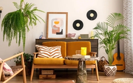 Loại cây được dự đoán ‘hot nhất năm 2026’: ‘Hút’ bụi mịn, lọc không khí cực đỉnh