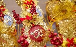 Dừa Tết độc lạ: Từ dát vàng 24K đến bonsai ngựa ‘thiên thần’