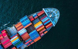 Ngành của Campuchia từng xuất 90% sản lượng tới Việt Nam, nay tìm đường xuất sang Trung Quốc, Nhật Bản