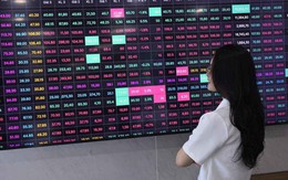 Chứng khoán giảm điểm, nhóm ngành nào có triển vọng đầu tư?