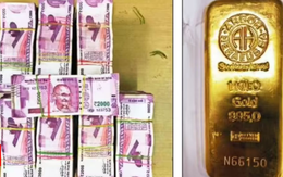 Đột kích hàng loạt kho hàng, tịch thu 1 kg vàng trị giá 4,6 tỷ đồng, 14,5 tỷ đồng tiền mặt nghi trốn thuế