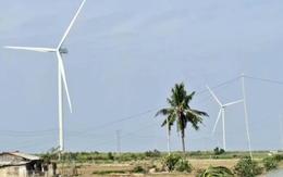 Nhiều doanh nghiệp muốn đầu tư hàng loạt dự án điện gió ở Cần Thơ