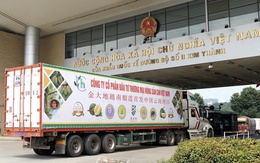 Một sản vật Việt Nam 'thắng lớn' ở Trung Quốc: Chuyên gia chỉ rõ lợi thế giúp vượt mặt Thái Lan