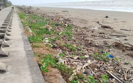 Nhếch nhác khu du lịch Ba Động nổi tiếng