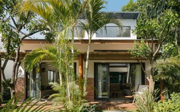 6 loại cây được người xưa khuyên nên trồng vào đầu năm để cầu công danh, tài lộc