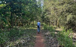 Chấp thuận nhà đầu tư đề xuất dự án đường kết nối từ cầu Mã Đà với Vành đai 4 TPHCM