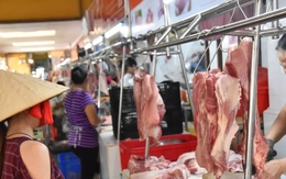 Lý do giá thịt lợn tăng mạnh