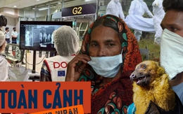 Toàn cảnh virus Nipah: Mối đe dọa âm ỉ khiến thế giới luôn trong trạng thái báo động