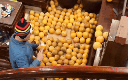 Trung bình nhà miền Bắc mỗi dịp Tết: Càng xem càng dejavu, cảnh tượng này trong mơ cũng vẫn ám ảnh