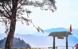 Cảnh tượng 'độc nhất vô nhị' ở điểm check-in cao nhất Mộc Châu