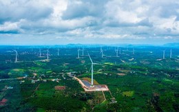 Thêm một công ty “họ” Trung Nam bị phạt 92,5 triệu đồng vì “ém” thông tin trái phiếu