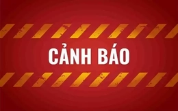 Cảnh báo khẩn 5 sản phẩm sữa nghi nhiễm độc tố nguy hiểm với trẻ nhỏ