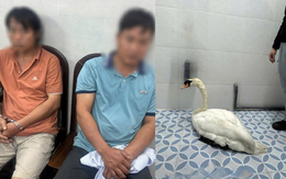 Đối tượng trộm thiên nga trắng ở Thảo Cầm Viên Sài Gòn khai gì?