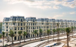 Sunshine Group tạo đột phá trong giai đoạn tái cấu trúc: Lợi nhuận 2025 vượt 11.200 tỷ, tổng tài sản gần 120.000 tỷ