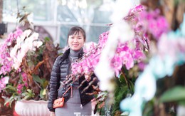 Bỏ hàng tỷ đồng buôn hoa Tết rồi ngóng khách... mất ăn, mất ngủ