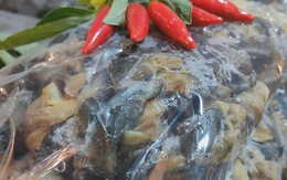 Triệt phá ‘xưởng’ dùng hoá chất ngâm 3 tấn thịt ốc bán ra thị trường: Natri silicate độc hại thế nào?