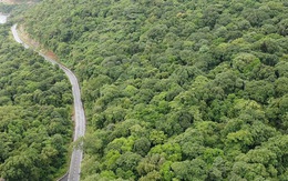 Thanh tra việc chuyển mục đích sử dụng đất rừng làm nhà máy xử lý rác Côn Đảo