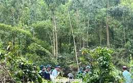 Hiện trường máy bay quân sự YAK-130 rơi ở vùng núi Đắk Lắk