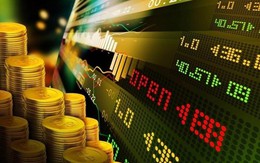 Tổng Giám đốc Dragon Capital: Đầu tư vàng dài hạn có hiệu suất thấp hơn chứng khoán