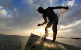 Chuyên gia chứng khoán: Dòng tiền vẫn luân chuyển tích cực, không thiếu cơ hội tìm kiếm lợi nhuận cho nhà đầu tư