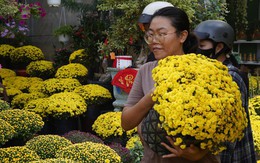 Ấm lòng ngày giáp Tết: Người dân TP.HCM chung tay giải cứu từng chậu cúc mâm xôi, giúp bà con nông dân miền Tây vơi bớt nỗi lo mất mùa