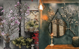 5 loại hoa chơi Tết “không có đỉnh nhất chỉ có đỉnh hơn”: Chưng xong chỉ ngẩn ngơ ngắm, đẹp đến nỗi cạn từ khen