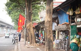 Xóa 98 'điểm nóng' chợ cóc, xử phạt qua camera