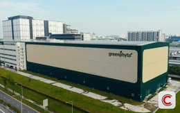 Kỳ tích của 1 'trùm nông nghiệp' ĐNÁ: Xây trang trại trong nhà cao nhất thế giới, công suất 2.000 tấn rau/năm, robot tự gieo hạt, chỉnh nhiệt