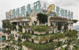 Loạt cổ phiếu BĐS tăng mạnh sau 'tin đồn' Trung Quốc dỡ “ba lằn ranh đỏ’