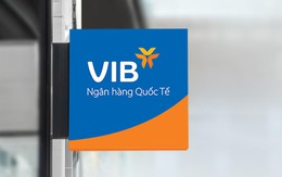 VIB: Lợi nhuận 2025 vượt 9.100 tỷ đồng, hoàn tất 9 năm xây dựng nền tảng, vững bước vào giai đoạn tăng trưởng mới