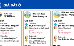 [Infographic] - Chi tiết bảng giá đất lần đầu áp dụng từ ngày 1-1 tại TP HCM
