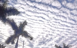 Giải mã hiện tượng ‘lưới mây’ bao phủ bầu trời TP.HCM