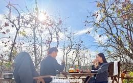 Du khách nô nức check-in giữa vườn hồng chất chill Đà Lạt