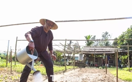 Khách Tây hào hứng làm nông dân gánh nước, trồng rau