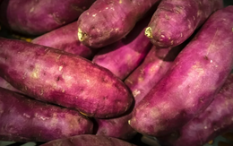 '3 không' khi ăn khoai lang tránh đường huyết tăng vọt