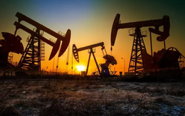 Một 'cứu tinh' không ngờ tới đang giúp dầu Nga chảy vào châu Âu: Trung chuyển hơn 5,5 triệu thùng dầu vào EU, là khách hàng lớn thứ 2 sau Ấn Độ