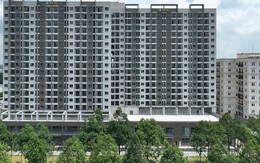 Him Lam, IDICO… thực hiện chỉ đạo “nóng” của Thủ tướng