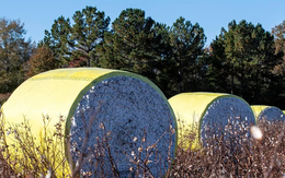 Việt Nam sở hữu 'mỏ vàng' gì mà thu gần 40 tỷ USD năm qua: Mỹ liên tục săn lùng, nước ta là ‘trùm’ đứng thứ 3 thế giới